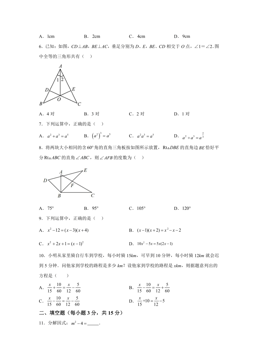 广东省肇庆市高要区2023-2024学年八年级上学期期末数学试题(含解析)