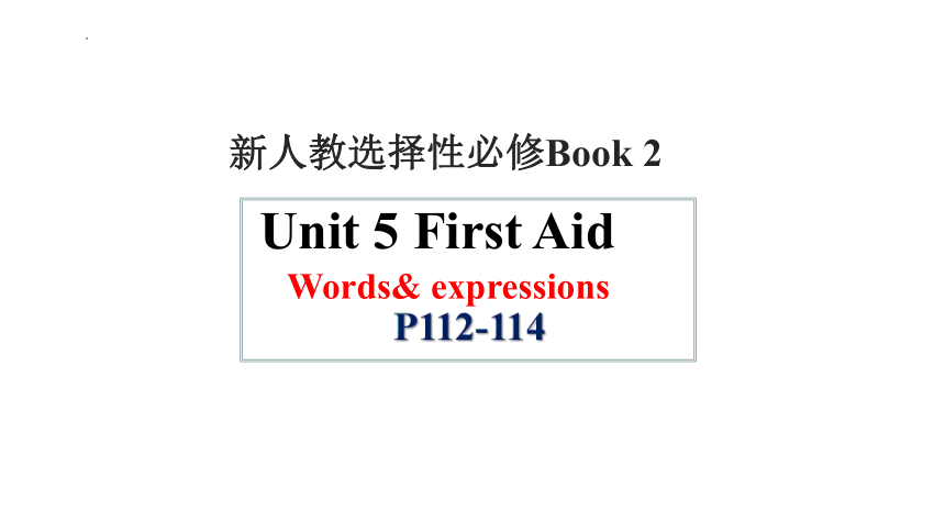 人教版（2019）选择性必修 第二册Unit 5 First Aid词汇课件(共19张PPT)