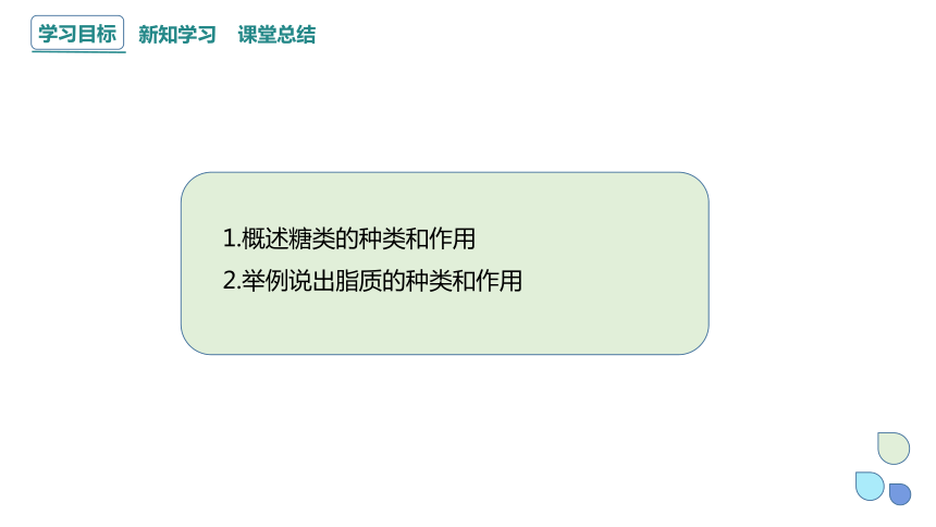 2.3 细胞中的糖类和脂质 课件 (共26张PPT)2023-2024学年高一生物人教版（2019）必修1