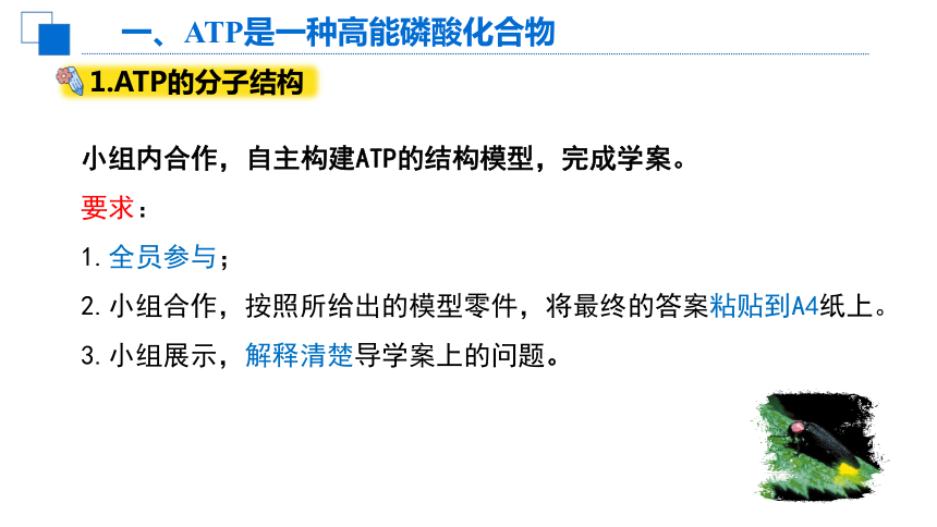 5.2细胞的能量“货币”ATP课件（共34张PPT1个视频）-人教版（2019）必修1