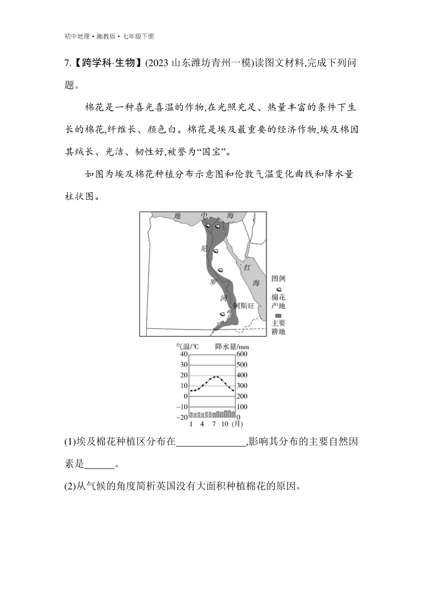 8.2 埃及 素养综合检测（含解析）湘教版地理七年级下册