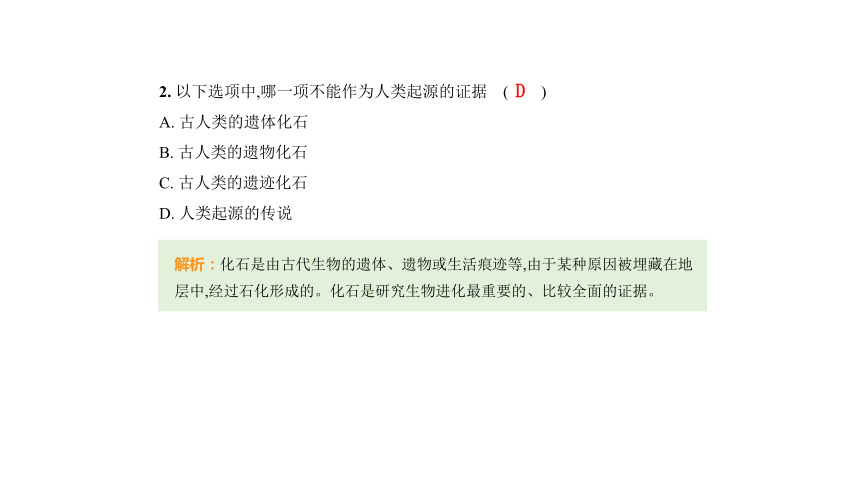 4.1人的由来习题课件(共35张PPT)人教版七年级下册