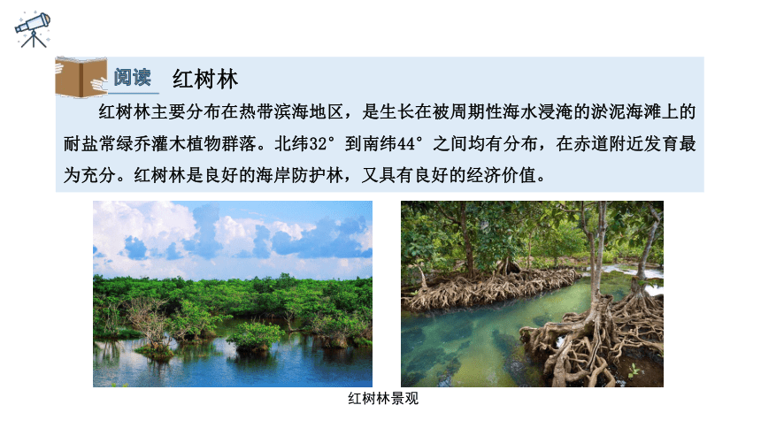 2.7 植物与自然环境的关系 课件 (共43张PPT)2023-2024学年高一年级地理中图版（2019）必修第一册