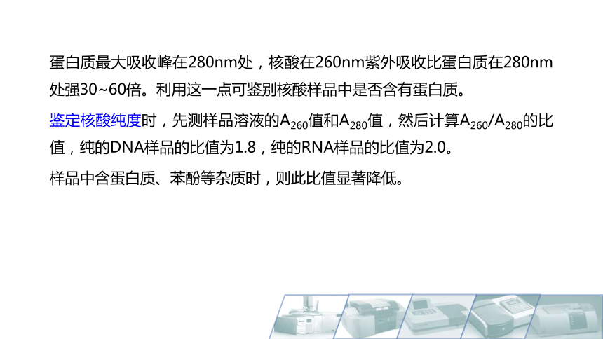 5.2核酸的性质 课件(共11张PPT)-《食品生物化学》同步教学（大连理工大学出版社）