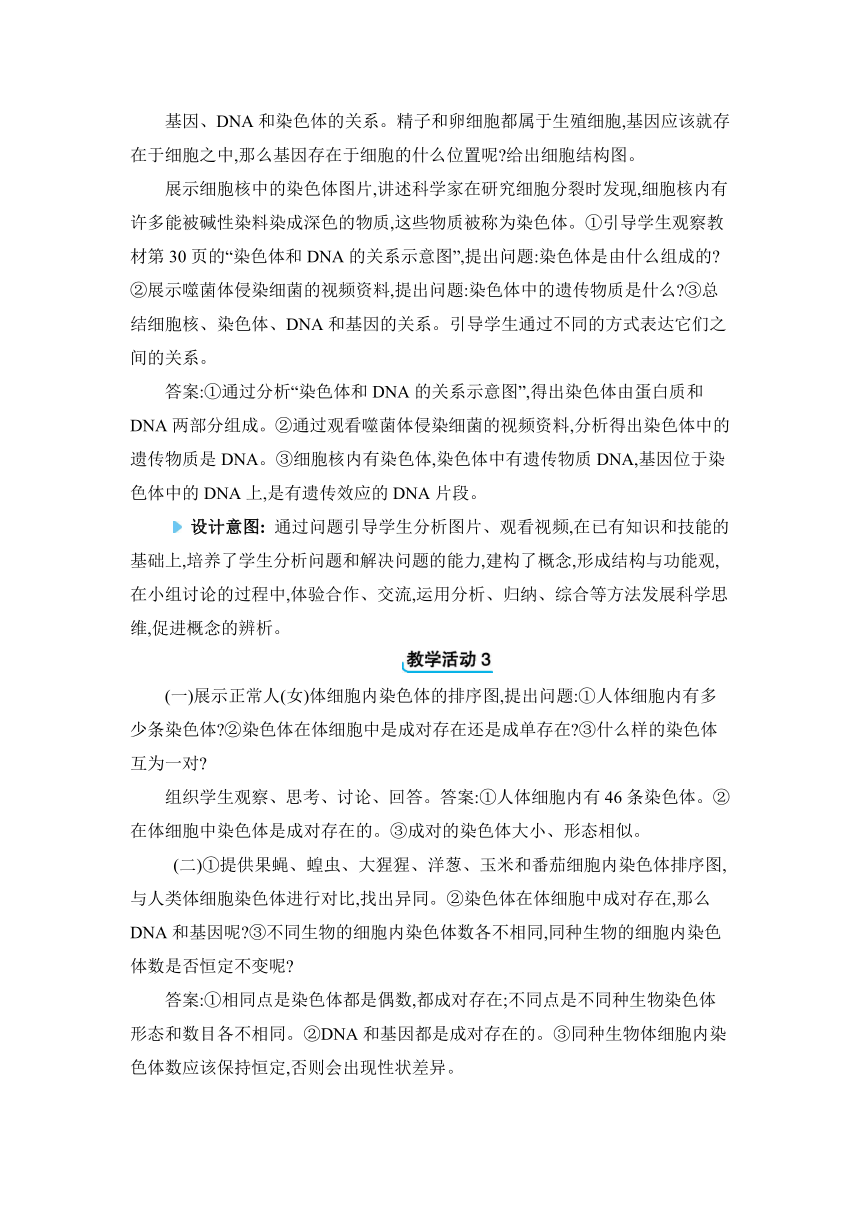 7.2.2 基因在亲子代间的传递教案人教版八年级下册