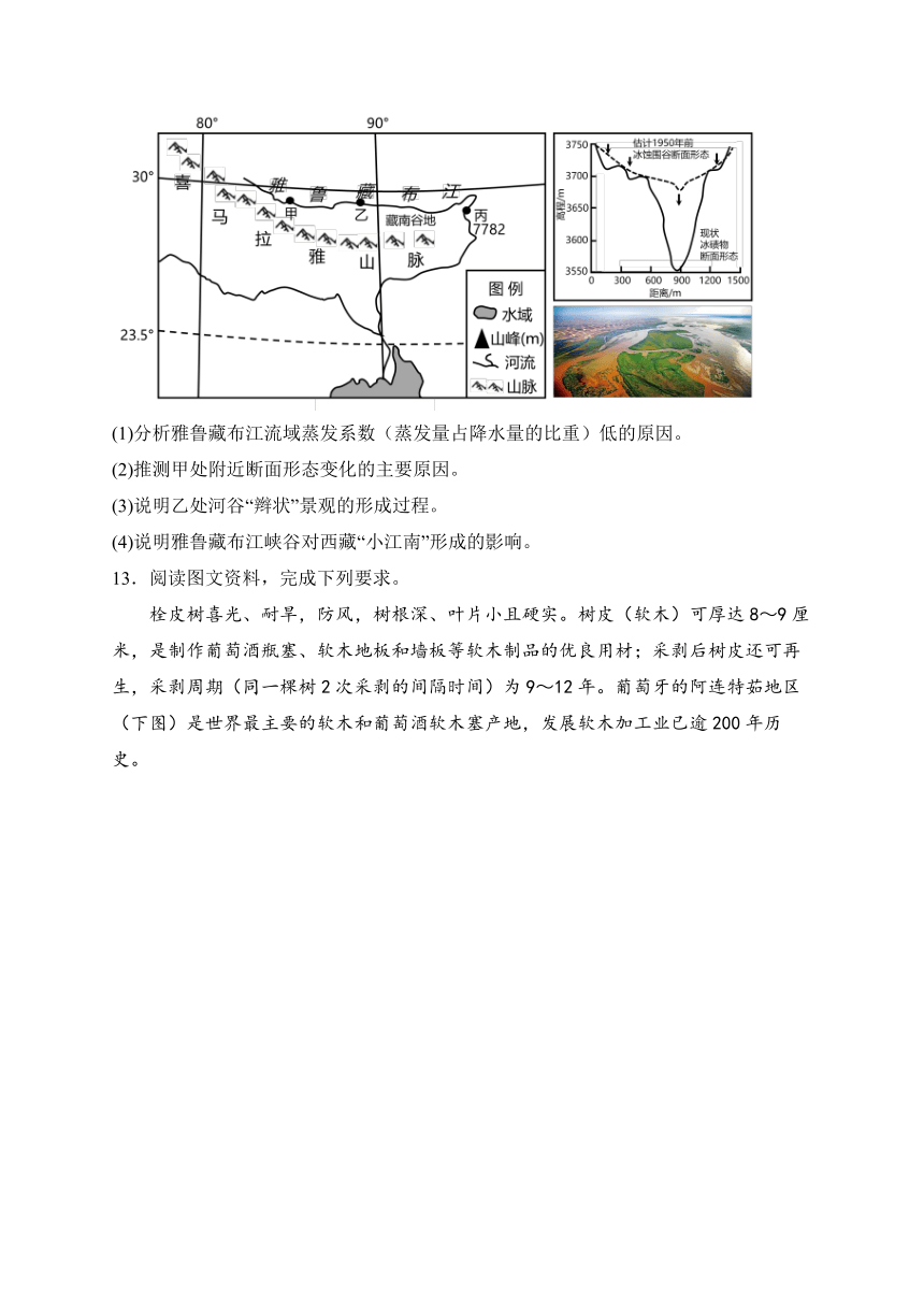 西藏林芝市第二高级中学2023-2024学年高三上学期第二次月考文综地理试卷(含答案)