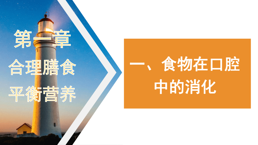 2.1.2-1食物在口腔中的消化 课件(共23张PPT)2023-2024学年冀少版生物七年级下册