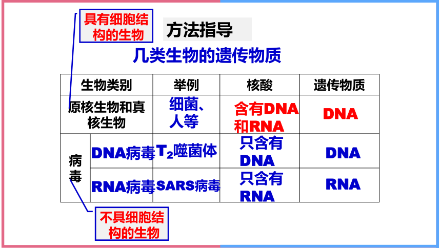 2.5核酸是遗传信息的携带者课件(共41张PPT) 人教版必修一