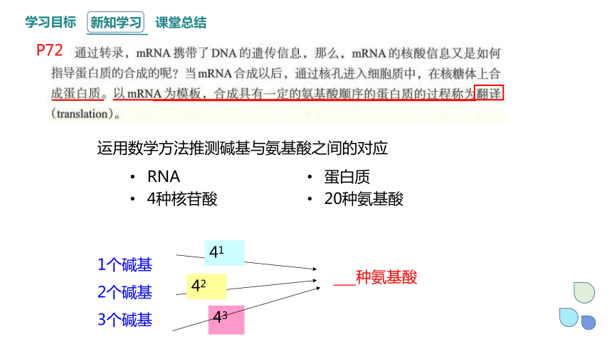 3.4 基因控制蛋白质合成 课时2 课件（共22张PPT） 2023-2024学年高一生物浙教版（2019）必修2