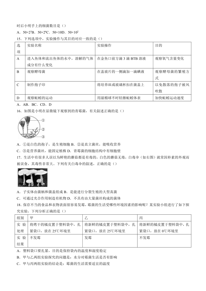 陕西省咸阳市实验中学2023-2024学年八年级上学期段性检测（二）生物试题（含答案）