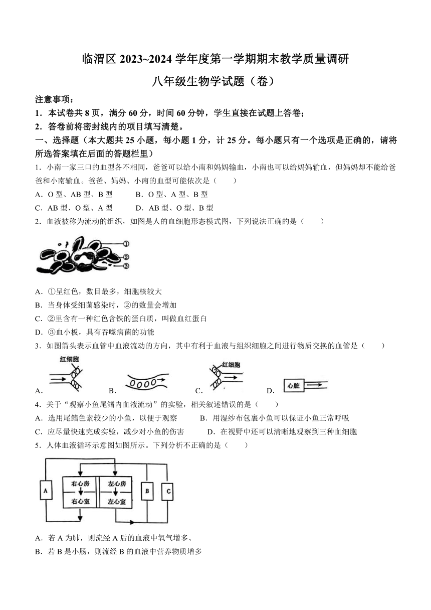 陕西省渭南市临渭区2023-2024学年八年级上学期期末教学质量调研生物试题 （word版 含答案）