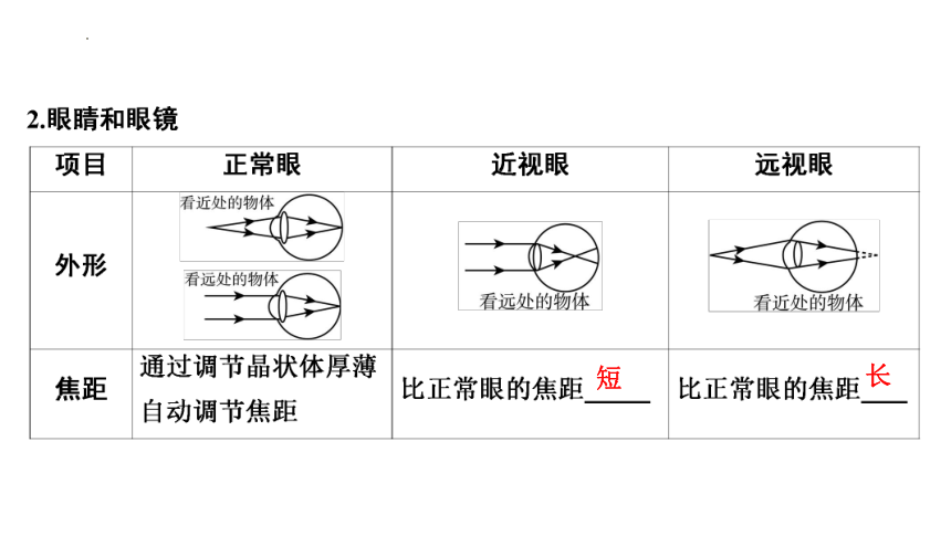 2024年中考山东专用物理一轮知识点梳理复习第五章　透镜及其应用(共64张PPT)