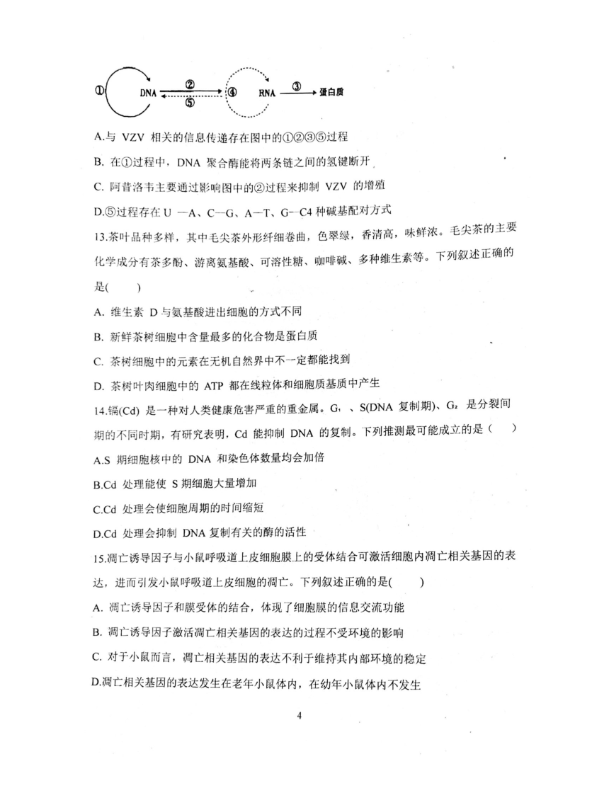 黑龙江省鸡西实验中学2023-2024学年高三上学期1月月考生物试题（PDF无答案）