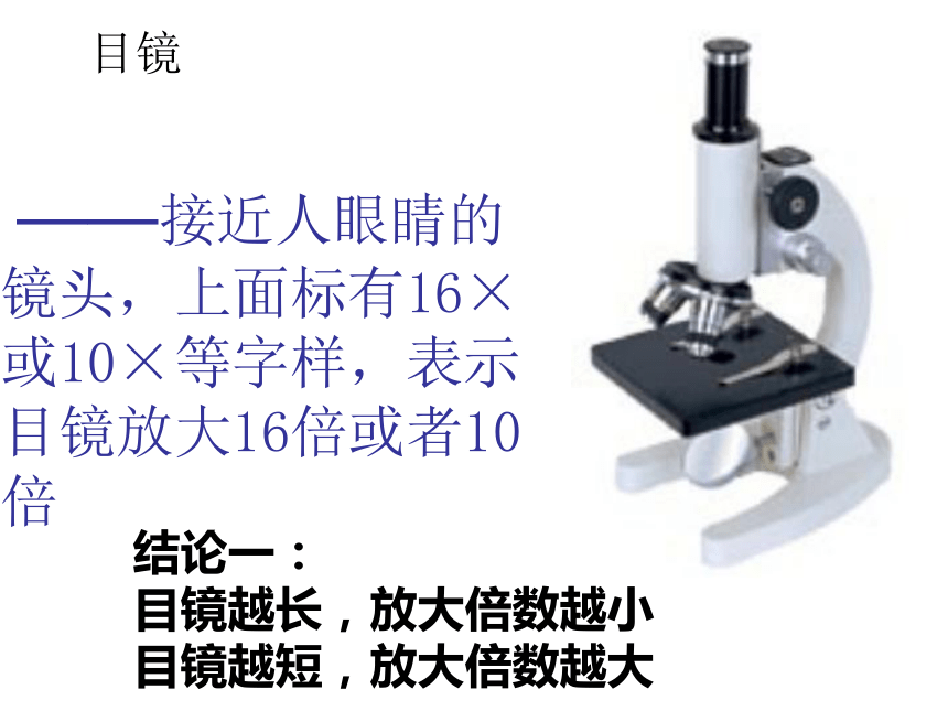 第一节练习使用显微镜