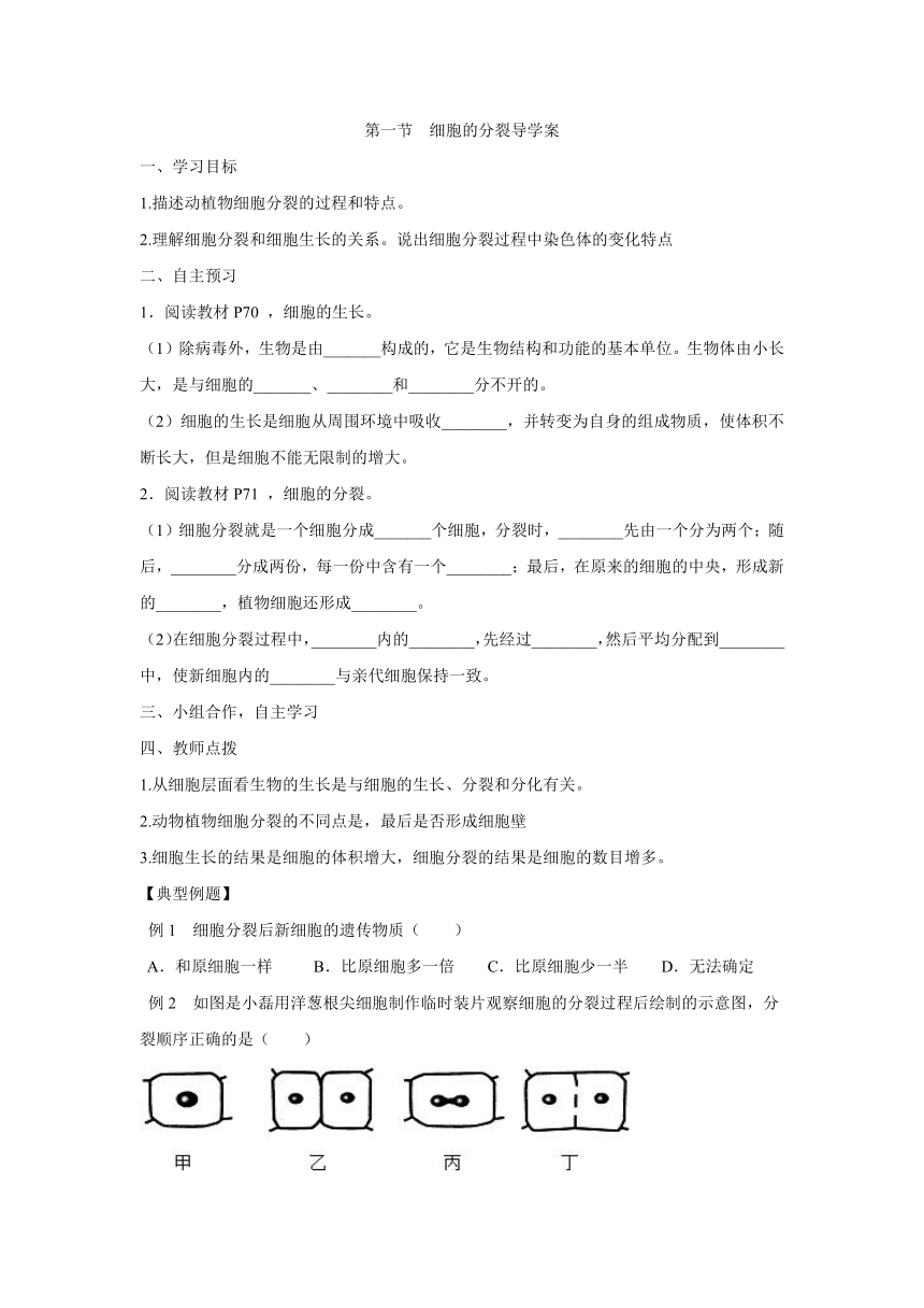 2.3.1细胞的分裂导学案（无答案）2023--2024学年鲁科版生物六年级上册