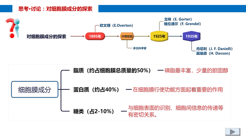 3.1细胞膜的结构和功能课件(共32张PPT)-人教版（2019）必修1