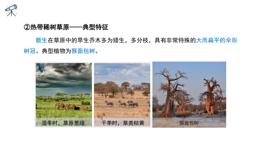 2.7 植物与自然环境的关系 课件 (共43张PPT)2023-2024学年高一年级地理中图版（2019）必修第一册