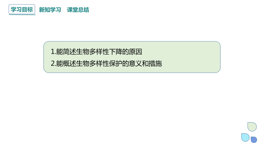 4.3 保护生物多样性意义重大 课件(共24张PPT) 2023-2024学年高二生物浙科版（2019）选择性必修2