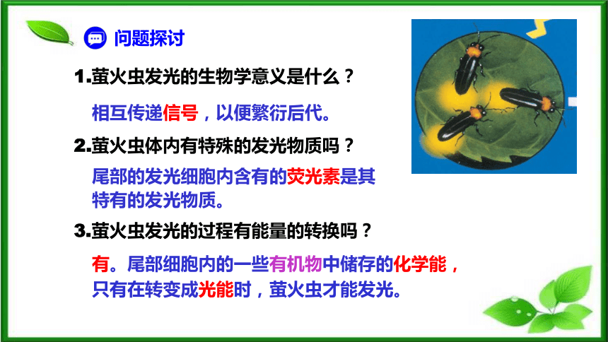 5.2细胞的能量“货币”ATP课件（共35页ppt） 人教版（2019）必修1