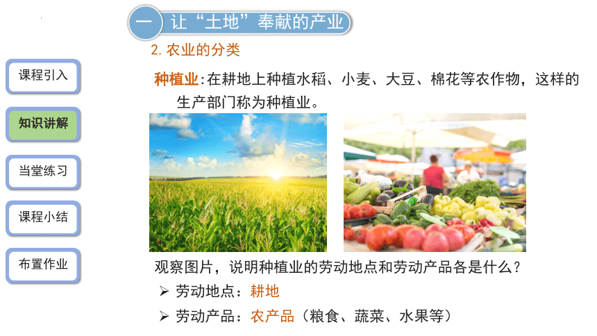 4.1 农业（第1课时）课件( 29张PPT)   初中地理湘教版  八年级上册