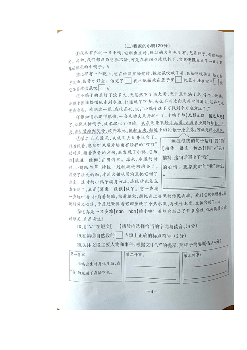 广西柳州市2023-2024学年第一学期四年级语文期末试题 （图片版，含答案）