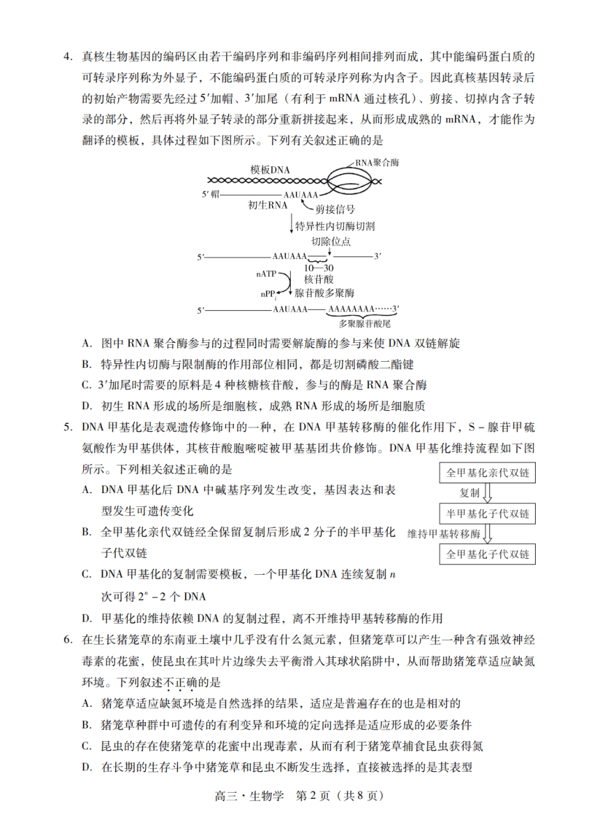 广东省揭阳市2023-2024学年上学期高三生物学模拟试题（PDF含答案）