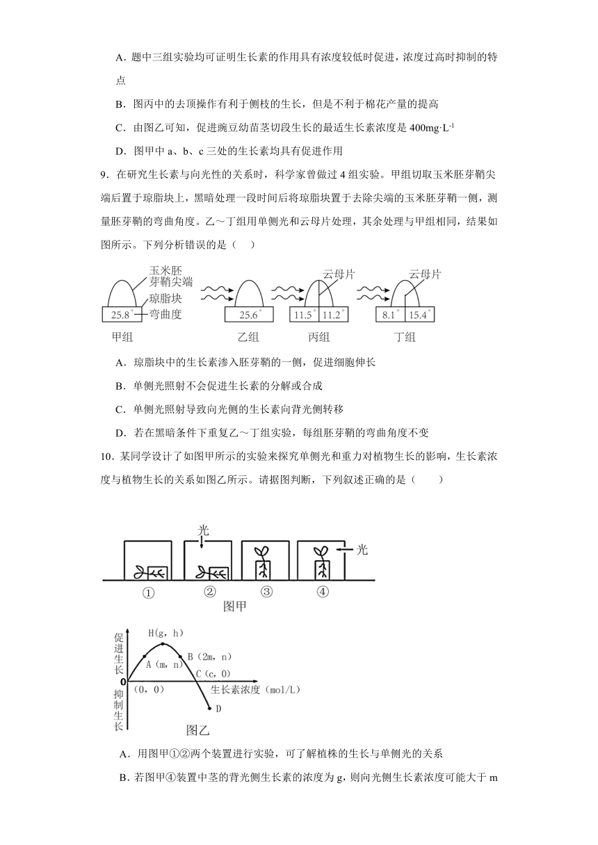 4.1植物生长素同步练习2023-2024学年高二上学期生物苏教版选择性必修1（文字版含解析）