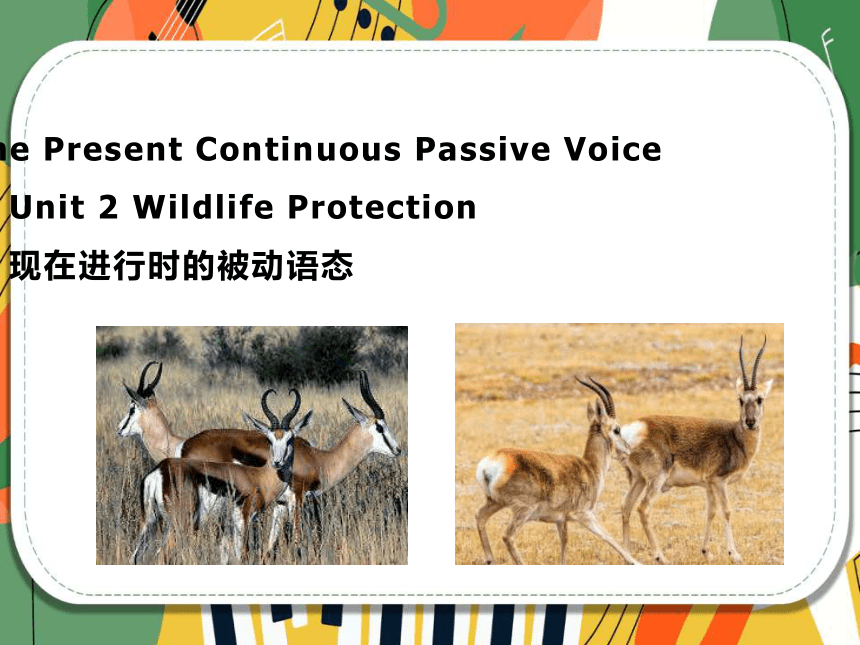 人教版（2019）必修 第二册Unit 2 Wildlife protection Discovering useful structures 课件(共34张PPT)