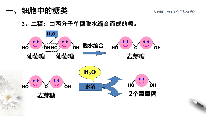 2.3细胞中的糖类和脂质课件（共22张PPT） 人教版必修1