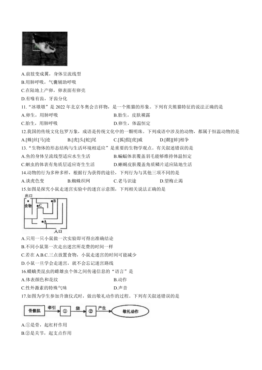 安徽省蚌埠市蚌山区2023-2024学年八年级上学期期末生物试题（PDF版含答案）