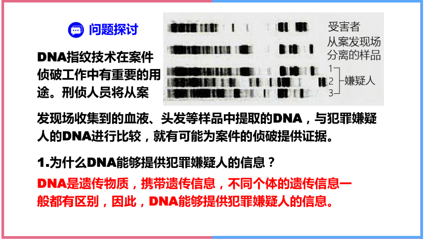2.5核酸是遗传信息的携带者课件(共41张PPT) 人教版必修一