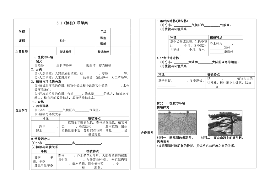 5.1植被 导学案 2023-2024学年高中地理人教版（2019）必修一（表格式）