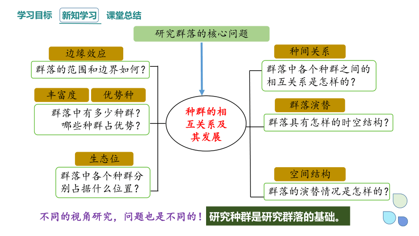 2.1 课时1  群落的结构课件（共31张PPT） 2023-2024学年高二生物人教版（2019）选择性必修2