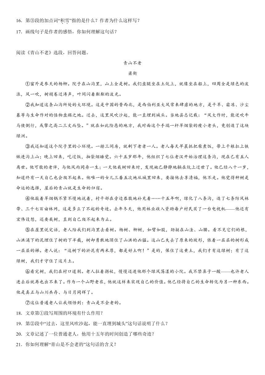 黑龙江省哈尔滨市道里区2023-2024学年（五四学制）六年级上册期末语文试题（含解析）