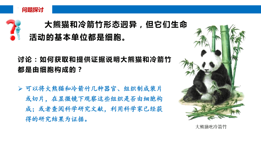 1.1细胞是生命活动的基本单位课件（共29张PPT） 生物人教版必修1