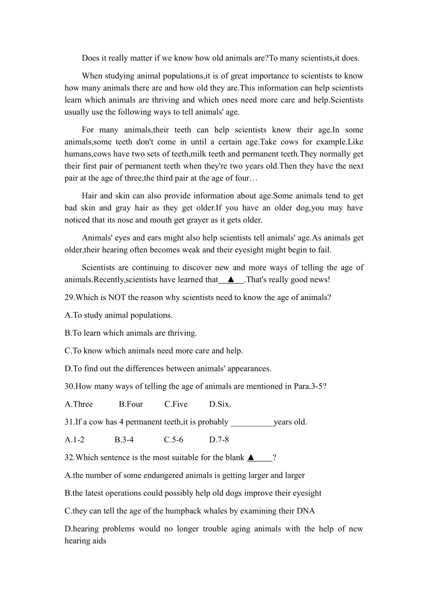 江苏省南京市玄武区2023-2024学年九年级上学期英语期末测试卷（含答案）