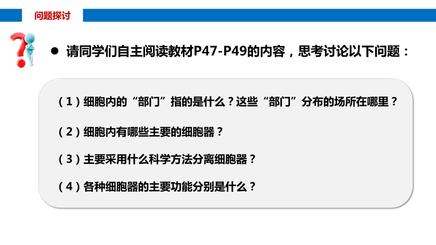 3.2细胞器之间的分工合作（第1课时）课件(共26张PPT)-人教版（2019）必修1