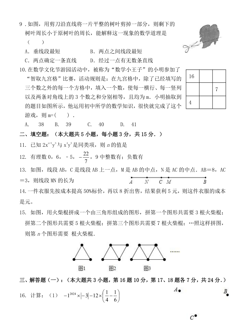 广东省惠州市博罗县 2023-2024学年七年级上学期期末考试数学试题（含答案）