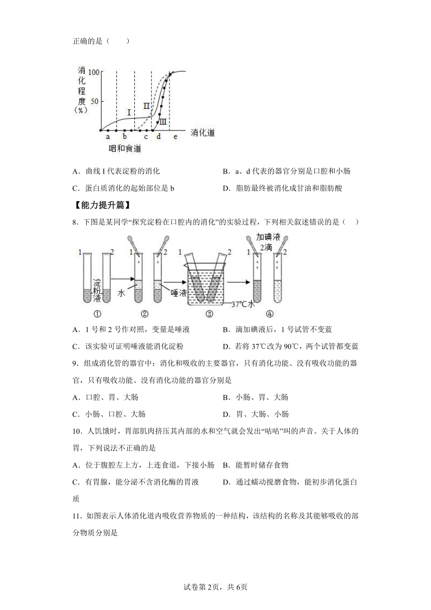 4.2.2消化和吸收 分层作业 七年级生物下册人教版（含解析）