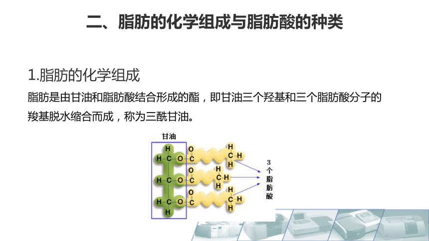 2.1脂类的定义、生理意义与分类 课件(共14张PPT)-《食品生物化学》同步教学（大连理工大学出版社）