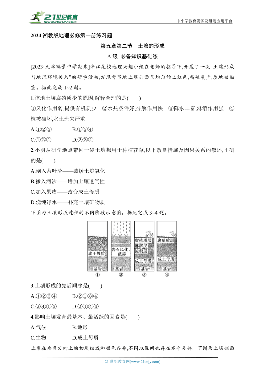 2024湘教版地理必修第一册练习题--第2节　土壤的形成（含解析）