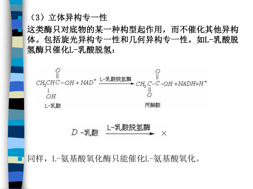 4.1.2 酶的基本特征 课件(共40张PPT)-《食品生物化学》同步教学（大连理工大学出版社）