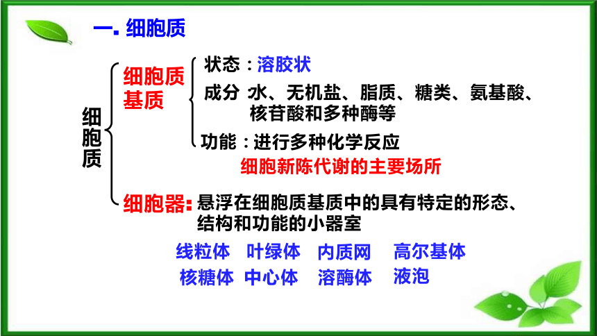 3.2细胞器之间的分工合作(第1课时)(共38张PPT)课件 人教版（2019）必修1