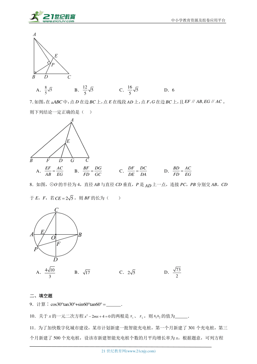 期末经典题型检测卷2023-2024学年数学九年级上册青岛版（含解析）