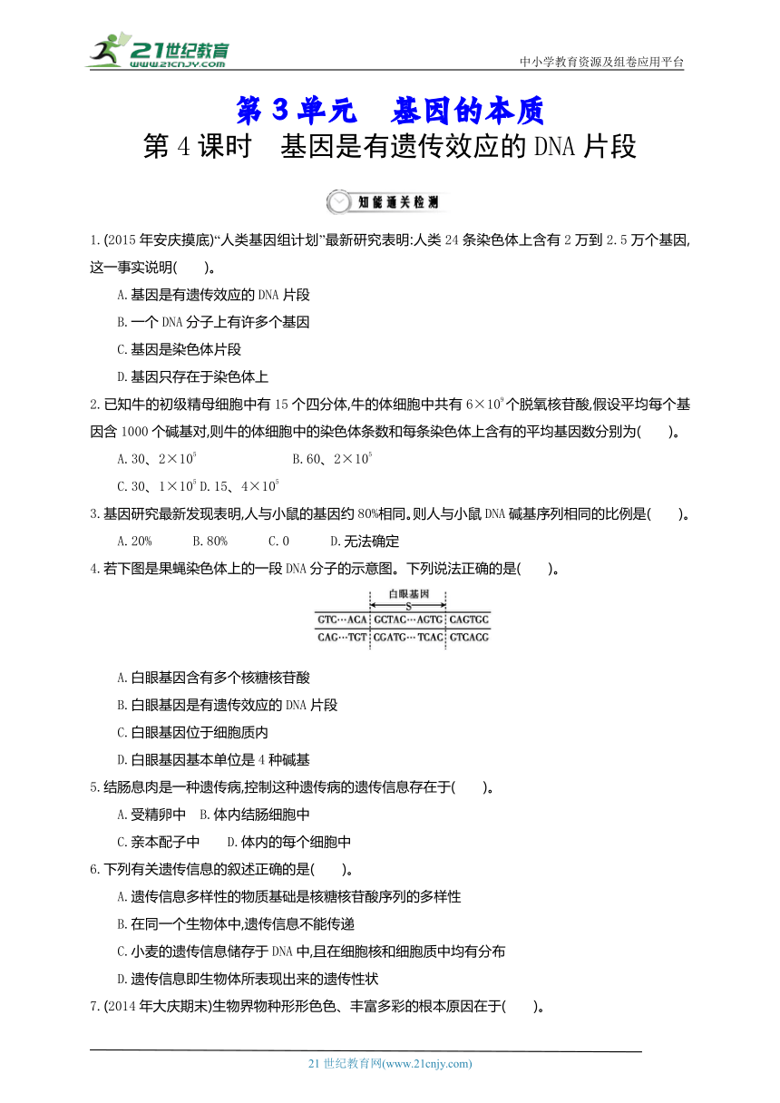 新人教生物必修2同步练习：第3单元 基因的本质 第4课时　基因是有遗传效应的DNA片段（含答案）