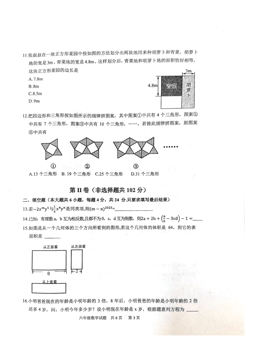 山东省泰安市宁阳县2023-2024学年六年级上学期期末考试数学试题（pdf无答案）