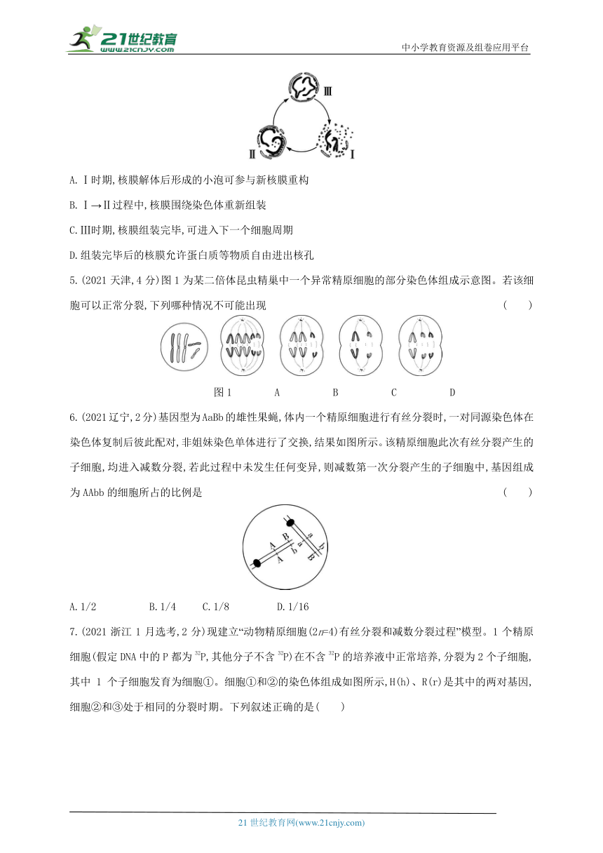 高考生物真题分类汇编：专题8 遗传的细胞基础（含解析）