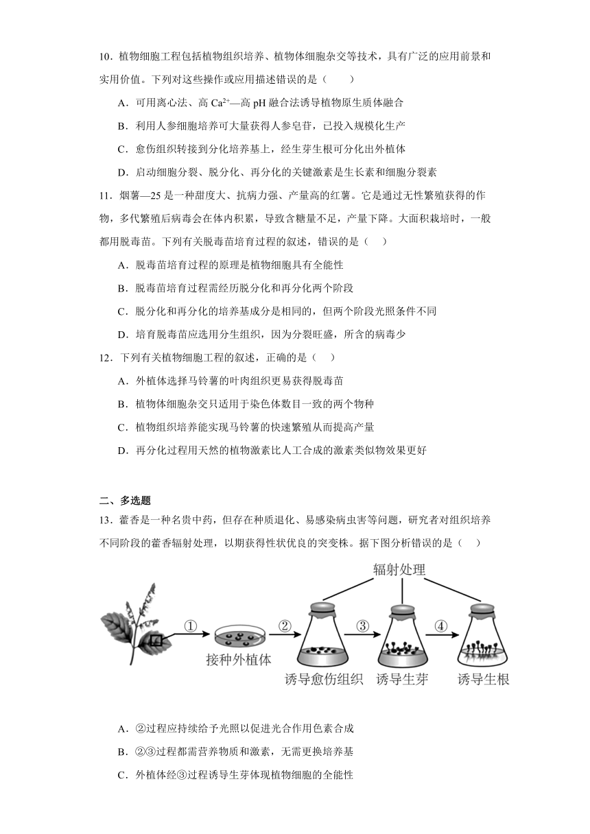 2.1植物细胞工程同步练习2023-2024学年高二下学期苏教版（2019）选择性必修3（含解析）