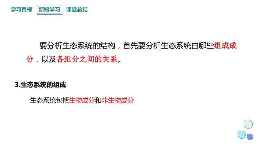 3.1 群落与非生物环境组成生态系统 课件(共22张PPT) 2023-2024学年高二生物浙科版（2019）选择性必修2