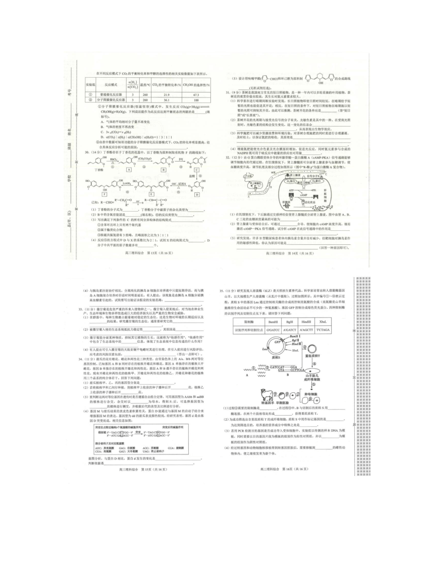 2023-2024学年河南省南阳市高三（上）期末理科综合试卷（扫描版含答案）